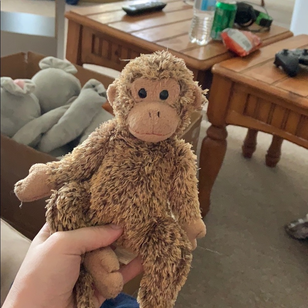 Bonsai - Picture 5 of 6